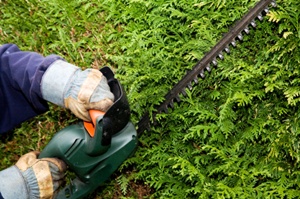 Handyman Tooting, Handyman Services Pictures