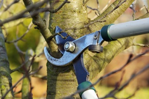 Handyman Waterloo, Handyman Services Pictures